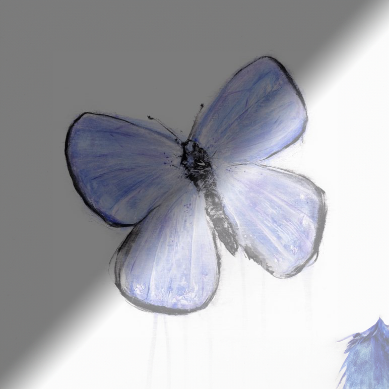 Myriam Rousseau Butterfly III